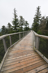 The Elevated Hiking Path of Baumwipfelpfad Schwarzwald, in the Black Forest