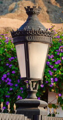 Ornate Street Lamp Floral Background Close Up View