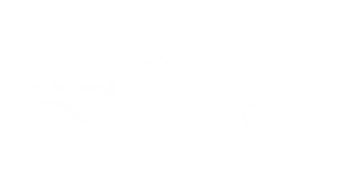 Cloud Isolated Background,Abstract Sky with Fluffy White Cloudy,Nature illustration elements for Spring,Summer,Group of Smoke, Cloud bubble,Cloud Comping Shape