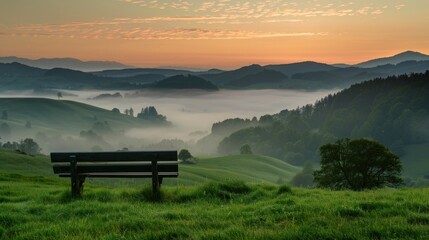 Tranquil Bench overlooking foggy valley