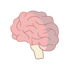 Brain illustration