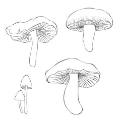 Set mushroom isolated on a white background. Vector illustration in outline style.