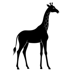 Fototapeta premium Silhouette of Giraffe