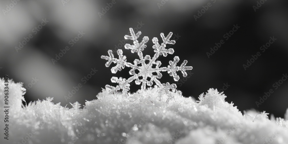 Sticker Snowflake close up