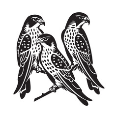 Peregrine falcon. Vector illustration of a bird. Falcon Silhouette Vector Art, Icons, and Graphics 