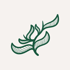 Leaves design elements - Vector illustration leaf shapes in  green colours on white background