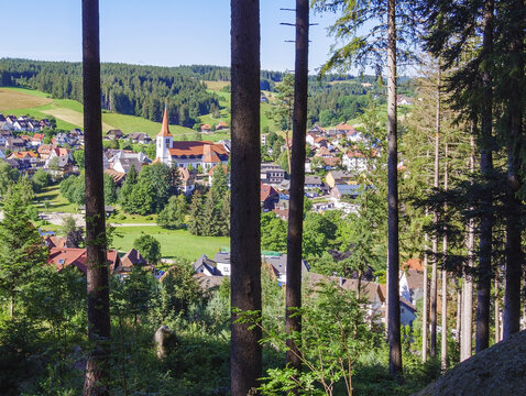 View at Schonach in black forest