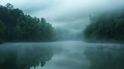 Attractive misty backdrop