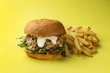 Delicious fast food, close up