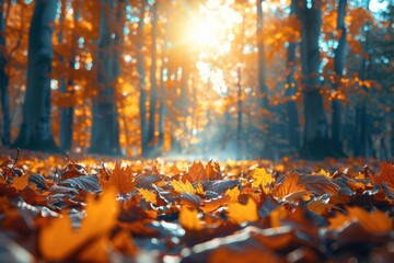 Autumn forest with colorful leaves, fall background, seasonal beauty