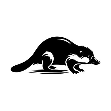 recommend clip art: Platypus silhouette vector illustration