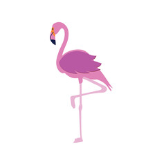  Pink flamingos pattern. Background design.  Tropical leaves collection. Vector isolated elements on the green background. shades of green. Vector illustration EPS10