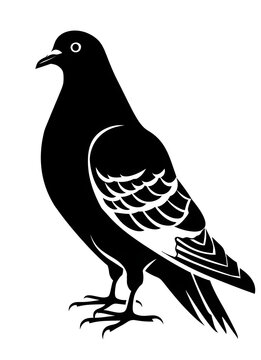 recommend clip art: Black silhouette of Pigeon illustration icon for logo, isolated on white background