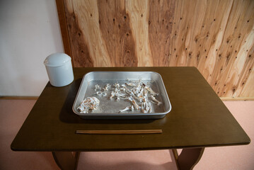 ペット火葬　愛犬　小型犬　収骨　火葬