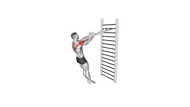 towel face pull anatomy exercise motion graphic muscle highlight workout fitness illustration video 4k uhd
