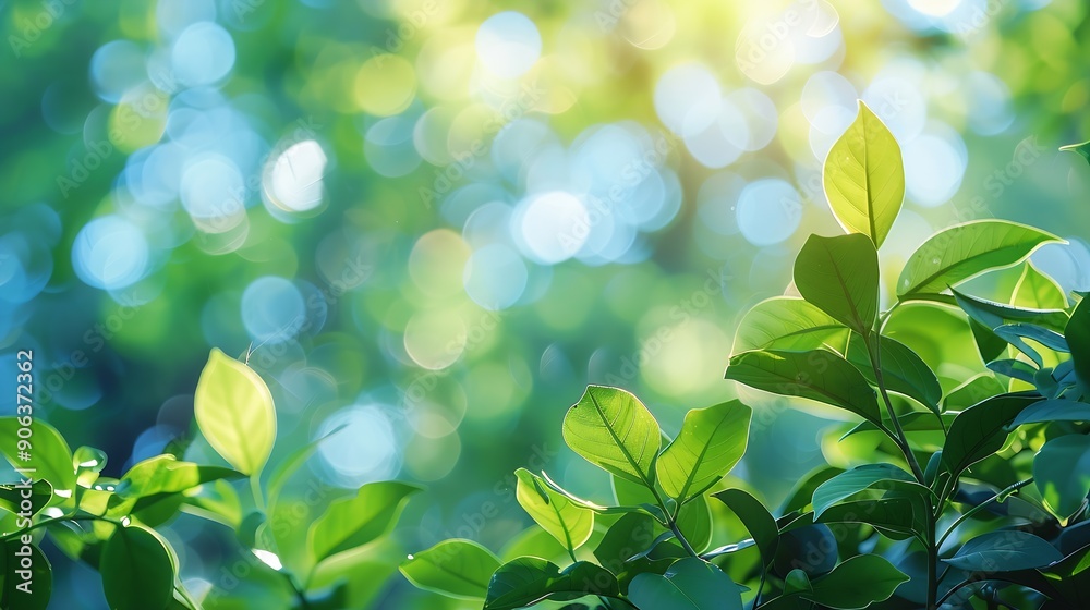 Aufkleber summer background of blue and green blurred foilage and sky with bright bokeh blurry abstract summer