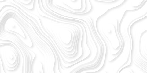 Abstract white paper cut background with lines. Background of the topographic map. White wave paper curved reliefs abstract background. Realistic papercut decoration textured with wavy layers.