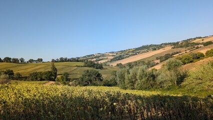 Obraz premium Panorama nelle campagne marchigiane