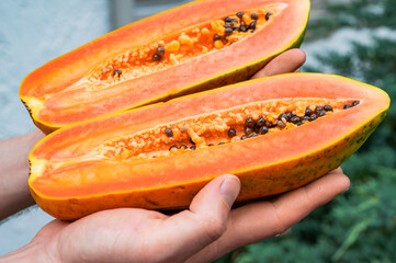 Papaya in section close-up. Fruit of the melon tree.