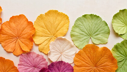 Obraz premium Floral Pattern on Handmade Paper