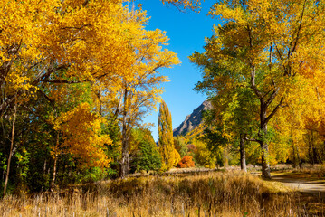 Bush Creek Recreation Reserve in Arrowtown - New Zealand