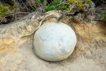 Moeraki Boulders Beach - New Zealand