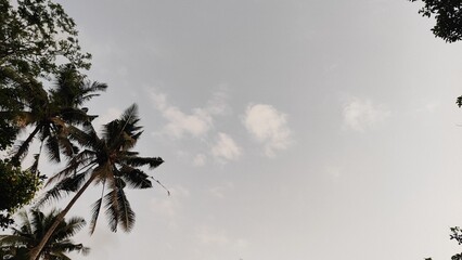 a serene sky with wispy white clouds drifting through a soft blue expanse. 