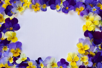 パンジーのフレーム