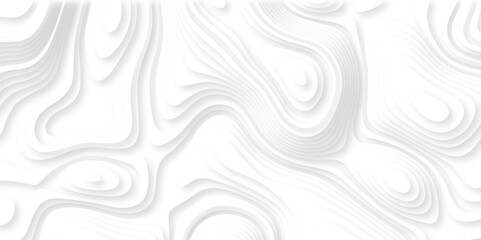 Fototapeta premium Abstract white paper cut background with lines. Background of the topographic map. White wave paper curved reliefs abstract background. Realistic papercut decoration textured with wavy layers.