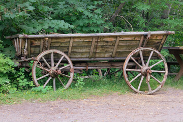 Obraz premium Rural transport in nature landscape. Old wooden cart.
