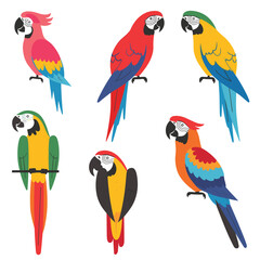 Six colorful parrots, various poses, tropical birds, illustrations. Brightly colored feathers, cartoon style, isolated white background. Parrots sitting, perching, vibrant plumage, nature theme