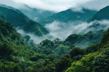 Obraz premium Lush Green Mountains Cloaked in Misty Clouds