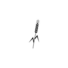 Wheat ears or rice icon isolated on white background