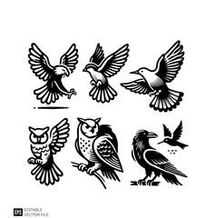 set of black and white birds