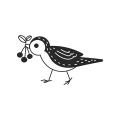 Bird with Berries Doodle Illustration. Cute songbird holding food in beak. Autumn Fall graphic. Isolated vector art in sketch style