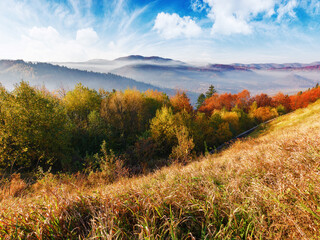 carpathian mountain landscape of ukraine in autumn. trees on the grassy hills in fall colors. countryside scenery in morning light. rural valley in foggy distance