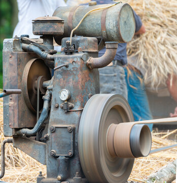 Vintage wheat threshing machine in operation