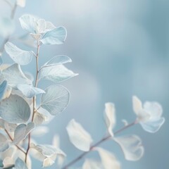 snow covered branches
