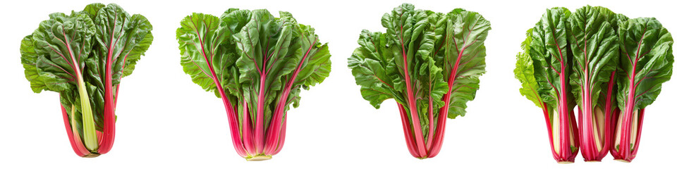 Vibrant rhubarb leaves showcasing fresh green hues and striking pink stems, perfect for culinary and gardening visuals.