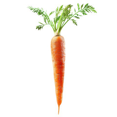 Fresh and vibrant orange carrot on a white background, showcasing its green leafy tops and nutritious appeal.