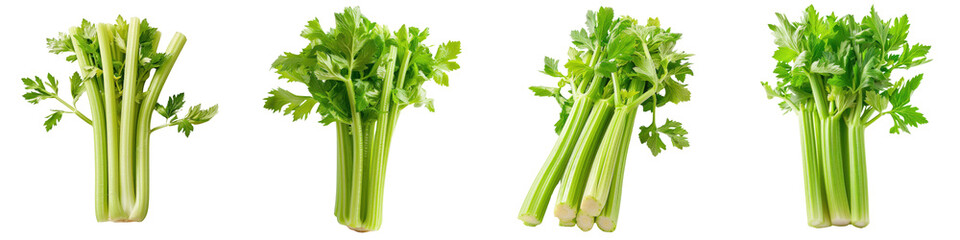 Fresh green celery on a white background, showcasing its crisp texture and vibrant color, perfect for healthy meals.