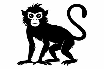 
Monkey silhouette, Monkey icon vector illustration
