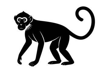 
Monkey silhouette, Monkey icon vector illustration
