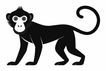 
Monkey silhouette, Monkey icon vector illustration
