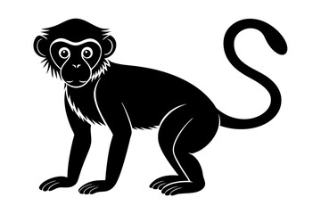 
Monkey silhouette, Monkey icon vector illustration
