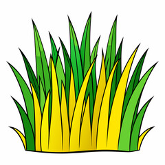 green yellow grass, white background