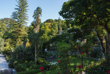 A serene and picturesque garden in Sintra, Portugal, featuring tall conifers, flowering bushes, and a well-maintained pathway. Red flowers add vibrant color.