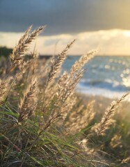 Selective soft focus of beach dry grass, reeds, stalks blowing in the wind at golden sunset light. Tranquil autumn fall nature field background. Soft shallow focus