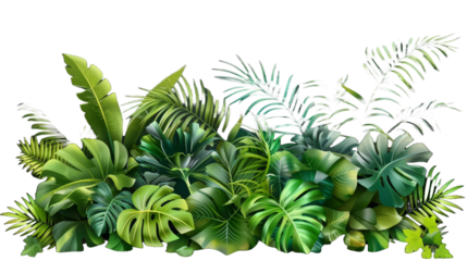  Tropical Greenery Flat Lay Monstera and Fern Leaves on Black Background.png