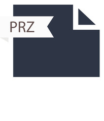PRZ File format icon roe color fill